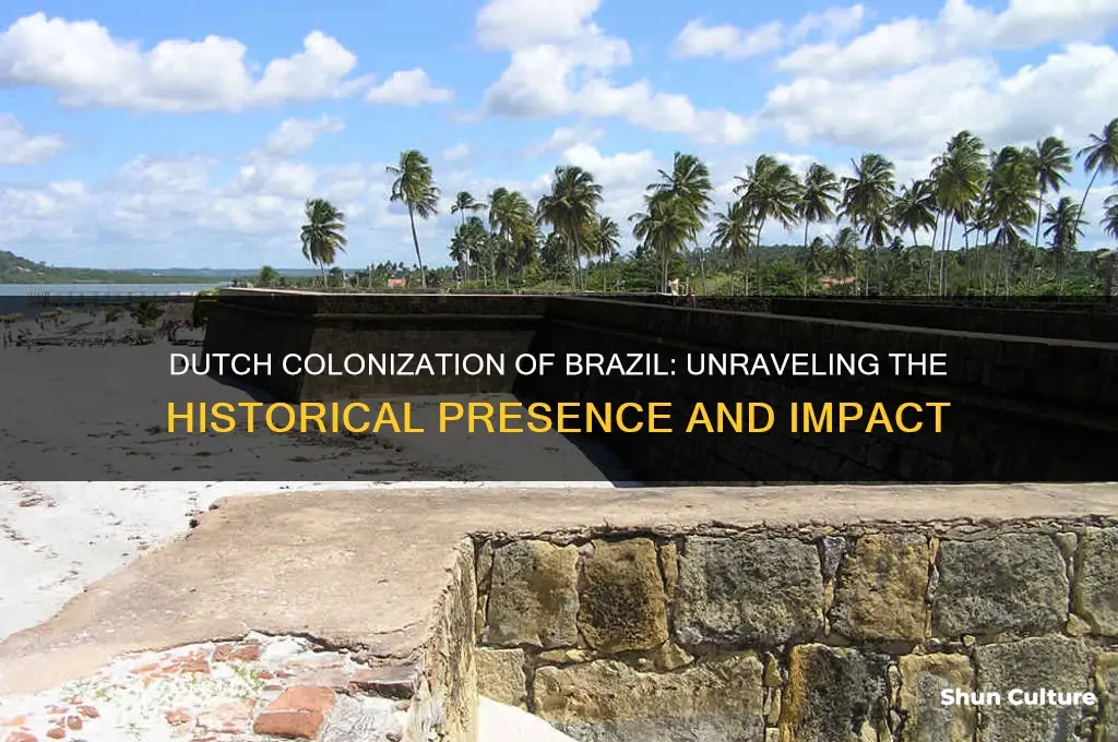 did the dutch colonize brazil