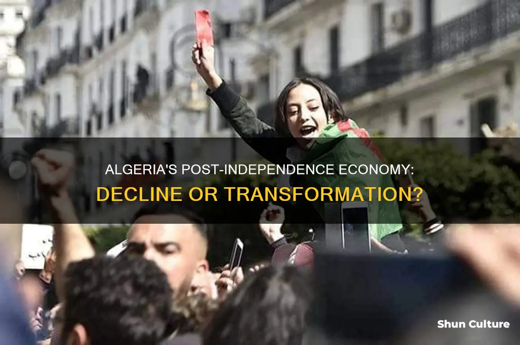 did the economy decline after indepencence in algeria