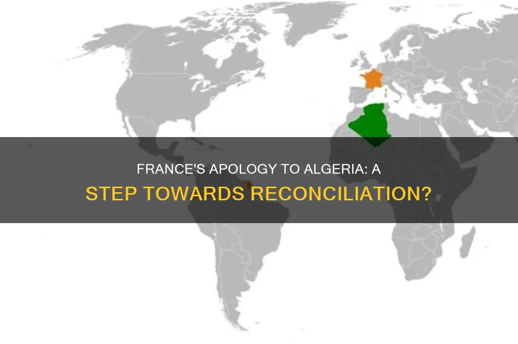 did the french ask algeria for forgiveness