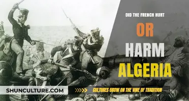 French Colonialism in Algeria: A Legacy of Harm or Progress?