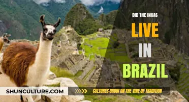 Did the Incas Live in Brazil? Unraveling the Historical Mystery