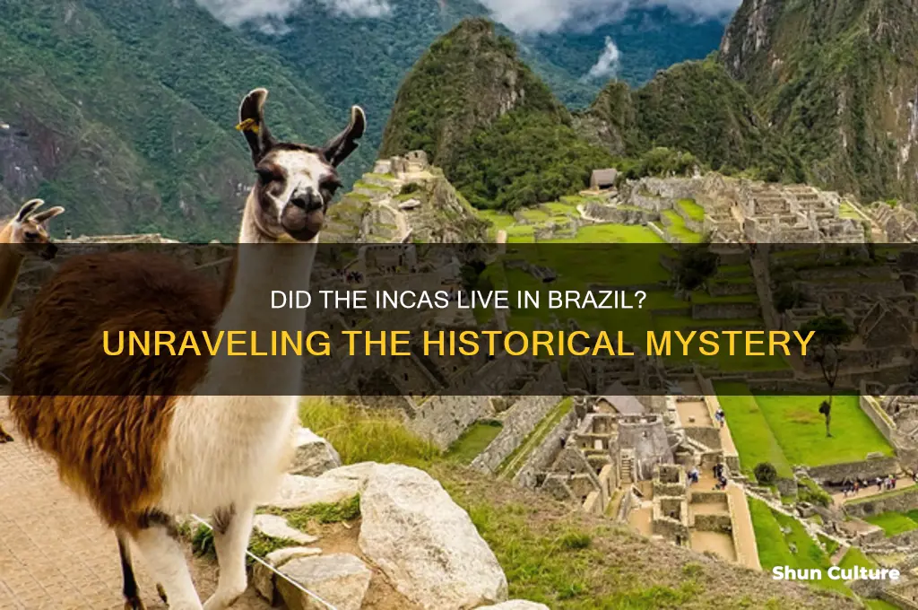 did the incas live in brazil