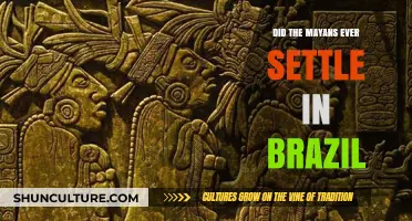 Exploring Mayan Presence: Did They Settle in Ancient Brazil?