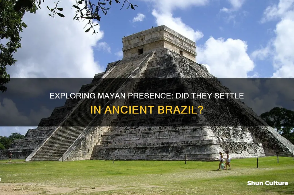did the mayans ever settle in brazil