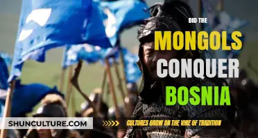 Mongol Conquest of Bosnia: Historical Facts vs. Popular Myths