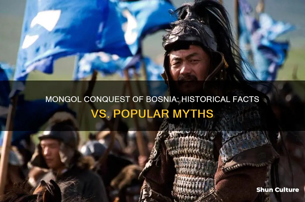 did the mongols conquer bosnia