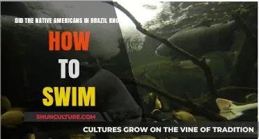Did Brazil's Native Americans Possess Swimming Skills? Unveiling Historical Insights