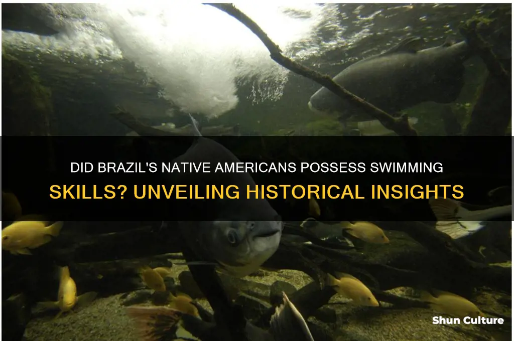 did the native americans in brazil know how to swim