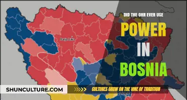 OHR's Power Usage in Bosnia: Fact or Fiction?