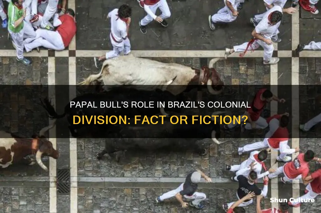 did the papal bull split brazil