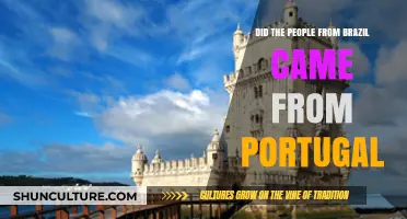 Brazilian Origins: Did Portugal Shape Brazil's Cultural Heritage?
