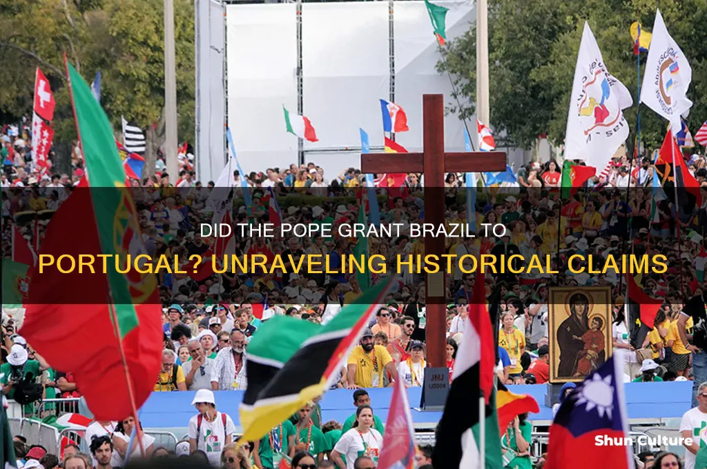 did the pope gives brazil to portugal