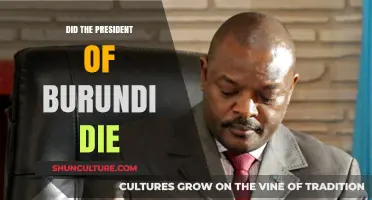Burundi's Leadership in Transition: What Happened to the President?