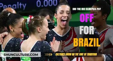 Did the Rio Olympics Boost Brazil's Economy and Global Image?