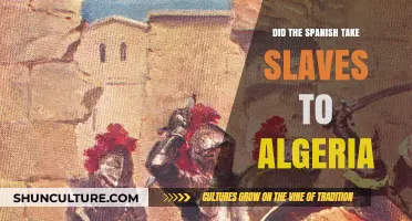 Spanish Slave Trade to Algeria: Uncovering a Hidden History