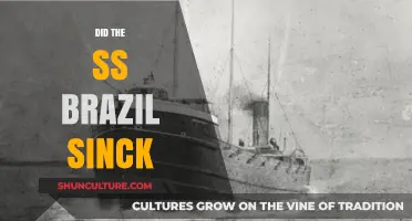 The SS Brazil Tragedy: Did the Ship Sink or Survive?