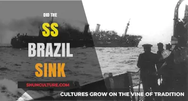 The SS Brazil: Unraveling the Mystery of Its Sinking