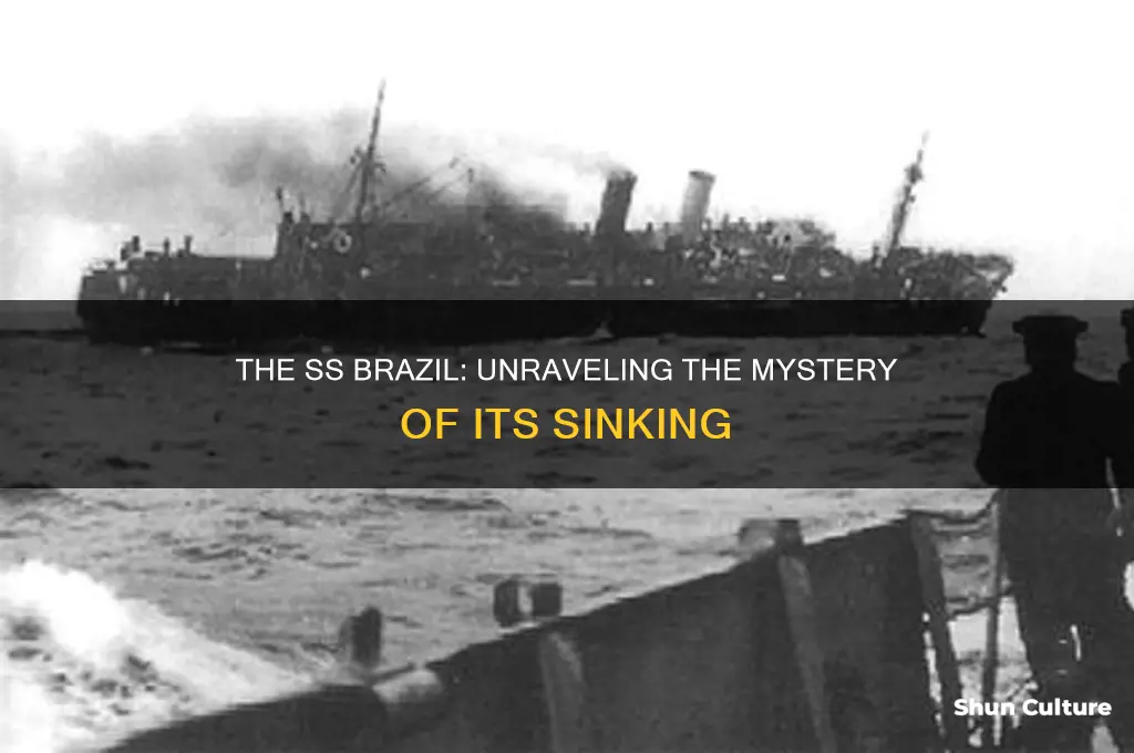 did the ss brazil sink
