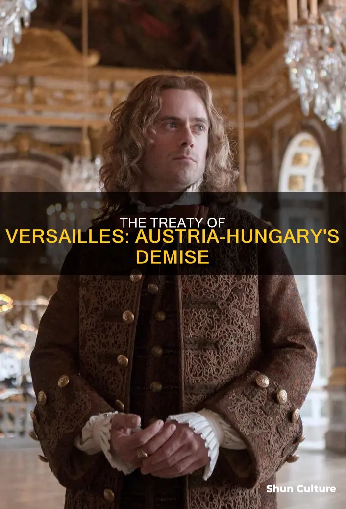 did the treaty of versailles split austria hungary