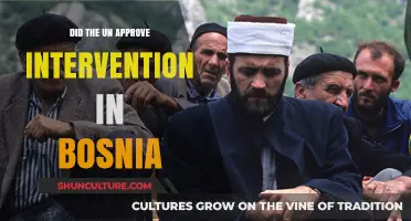 UN's Role in Bosnia: Did They Approve Military Intervention?
