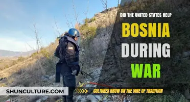 U.S. Role in Bosnia War: Aid, Intervention, and Impact