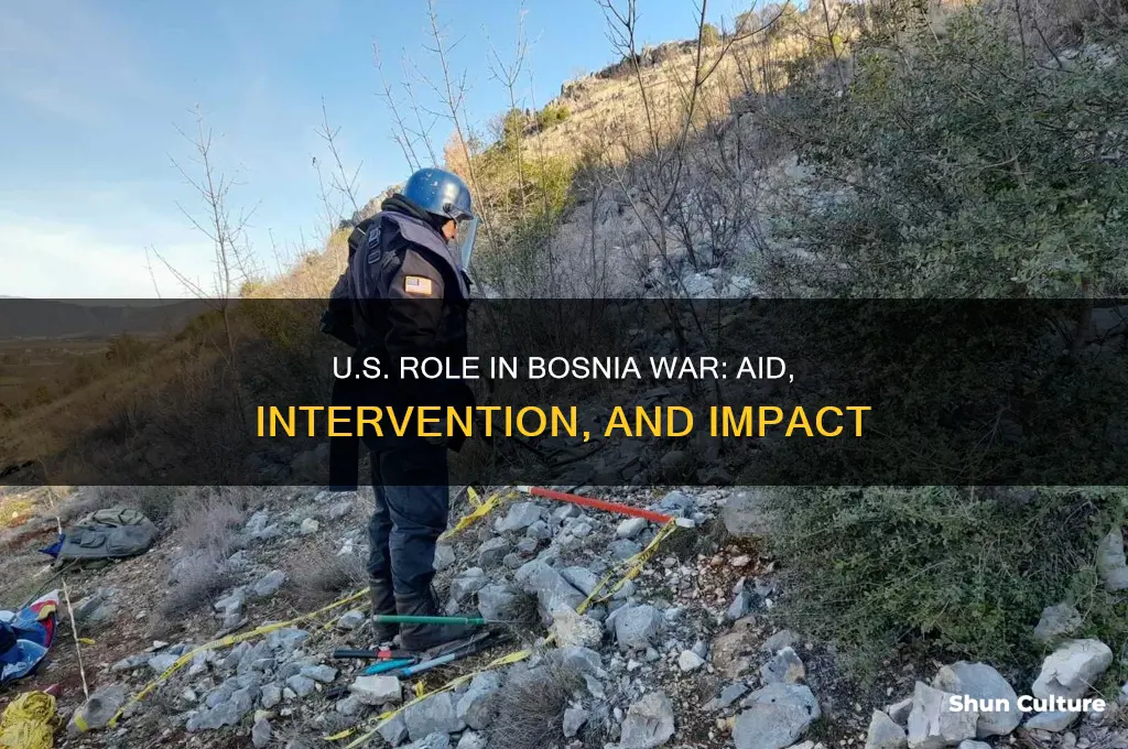 did the united states help bosnia during war