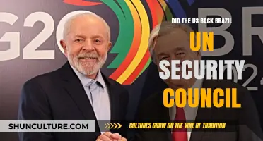 US Support for Brazil’s UN Security Council Bid: Fact or Fiction?