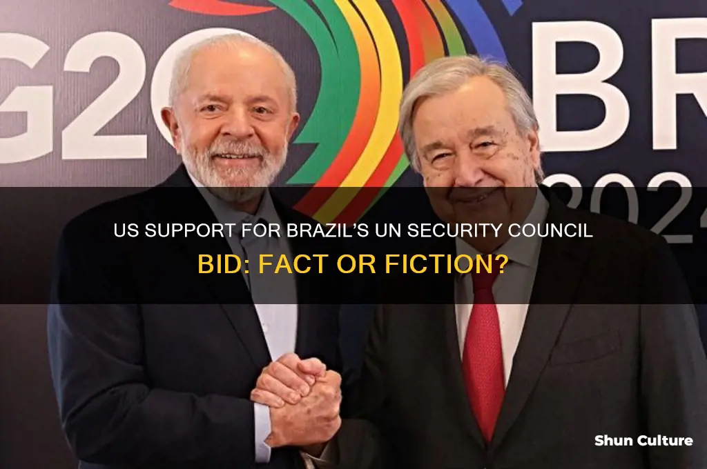 did the us back brazil un security council