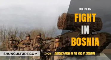 US Involvement in Bosnia: The Role of American Forces in the Conflict