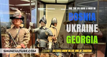 US Military Involvement in Bosnia, Ukraine, and Georgia: A Historical Overview