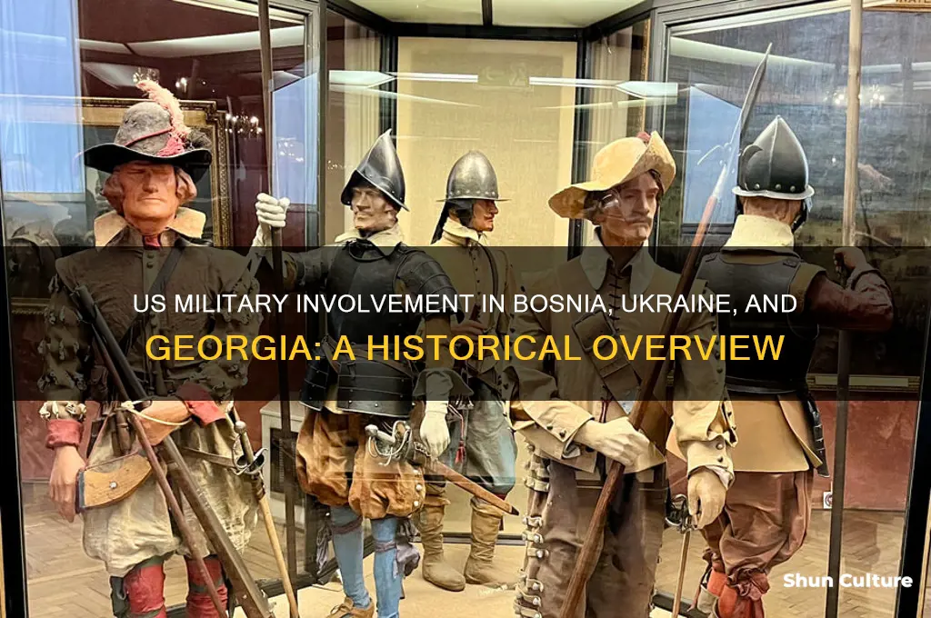 did the us have a war in bosnia ukraine georgia
