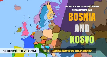 US Congressional Authorization in Bosnia and Kosovo: Legal or Overreach?