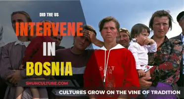US Intervention in Bosnia: A Historical Analysis of American Involvement