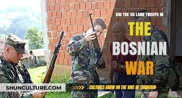 US Troops in Bosnia: Fact-Checking the Bosnian War Intervention
