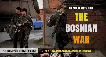 US Role in the Bosnian War: Participation and Impact Explored