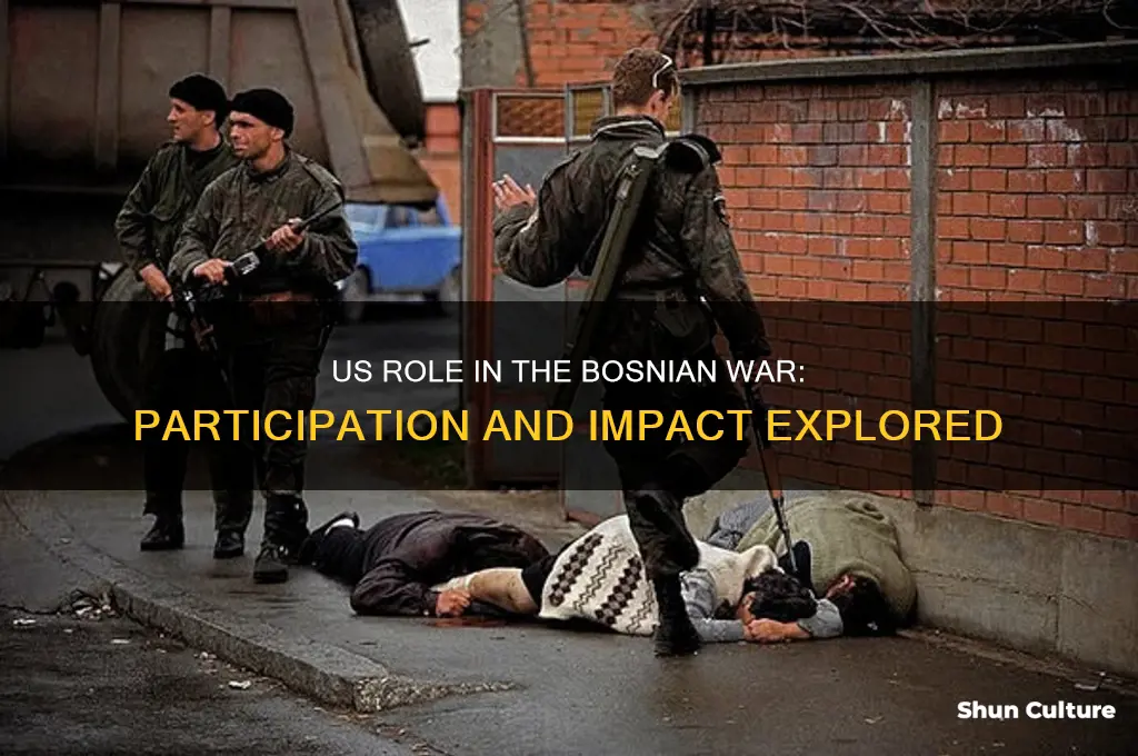 did the us participa in the bosnian war