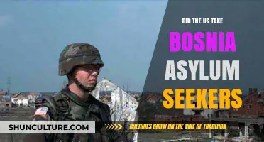 US Response to Bosnia Asylum Seekers: A Historical Overview