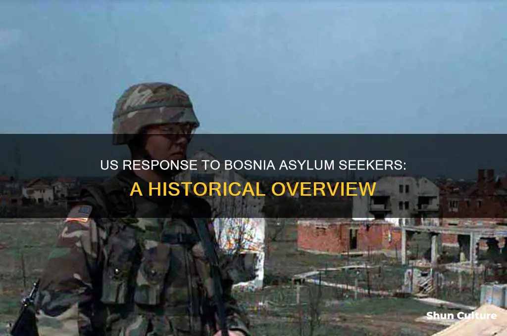 did the us take bosnia asylum seekers