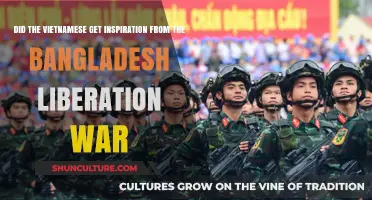 Bangladeshi Liberation War: A Catalyst for Vietnamese Strategic Inspiration?