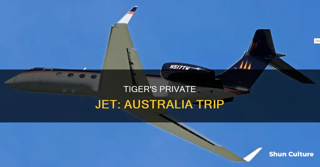 did tiger fly the australia by private jet