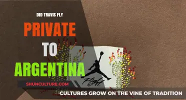 Travis's Argentina Adventure: Private Flight or Commercial Journey?