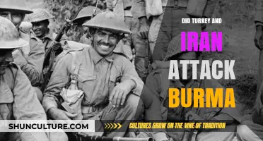 Unveiling the Truth: Allegations of Turkey and Iran's Involvement in Burma's Conflict