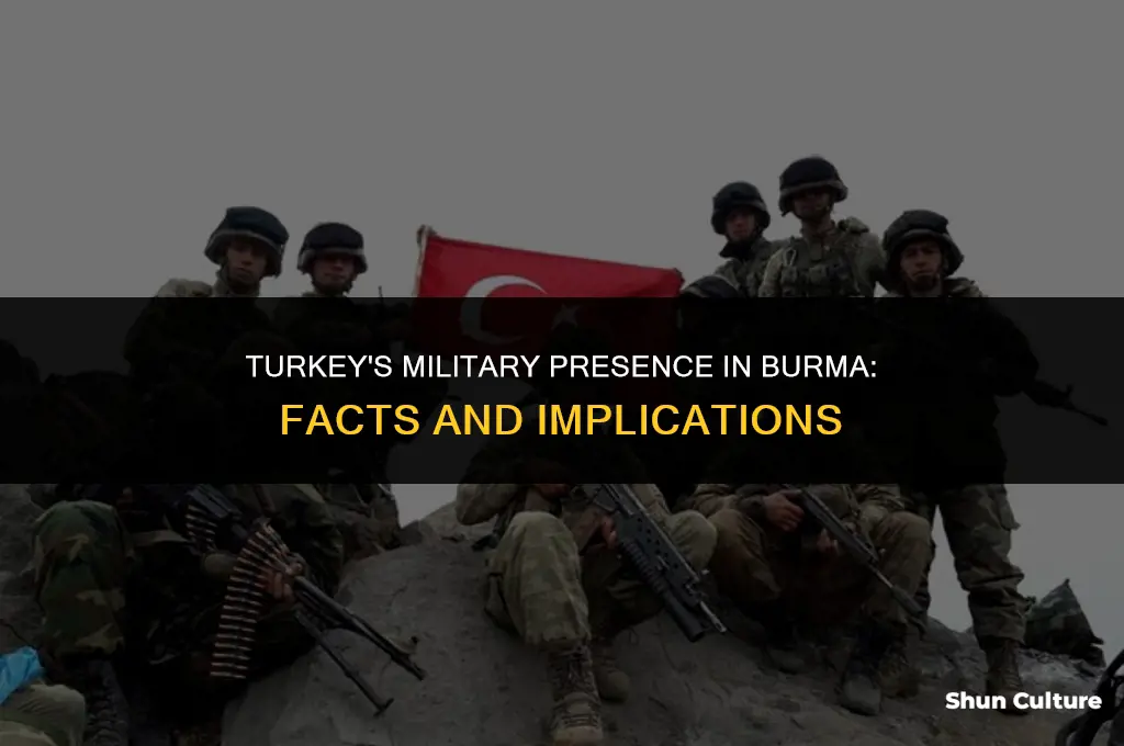 did turkey army entered burma