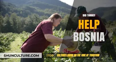 Turkey's Role in Bosnia: Aid, Support, and Historical Ties Explored