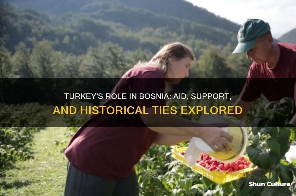 did turkey help bosnia