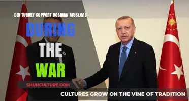 Turkey's Role in Supporting Bosnian Muslims During the 1990s War