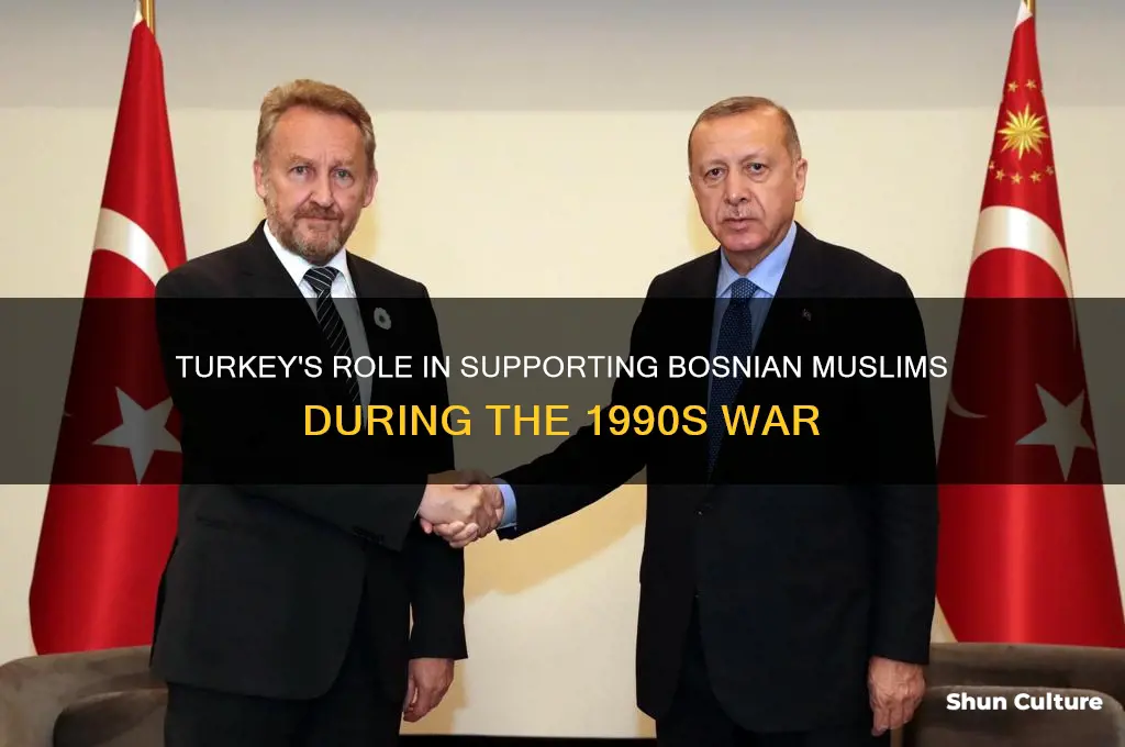 did turkey support bosnian muslims during the war