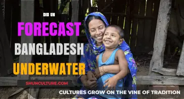 UN's Shocking Forecast: Bangladesh's Future Underwater?
