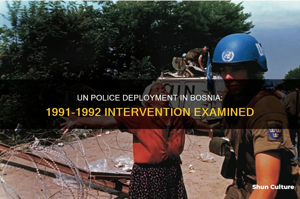 did un send in police force to bosnia 1991-2