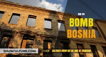 US Bombing of Bosnia: Facts, Controversies, and Historical Context